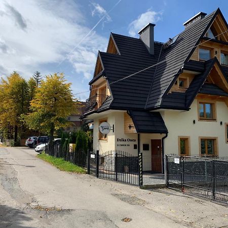 Apartament Dzika Owca Zakopane Zewnętrze zdjęcie