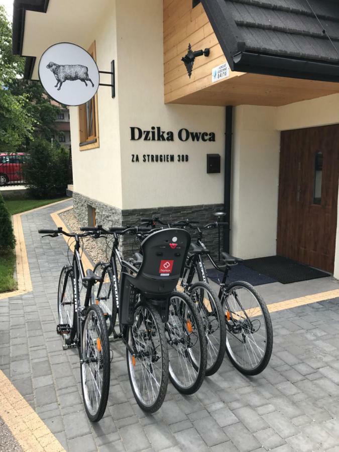 Apartament Dzika Owca Zakopane Zewnętrze zdjęcie